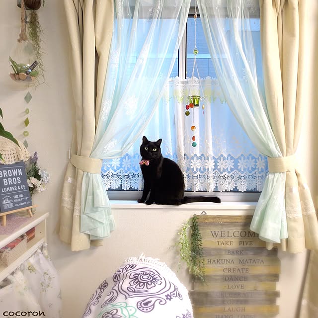cocoronさんの実例写真