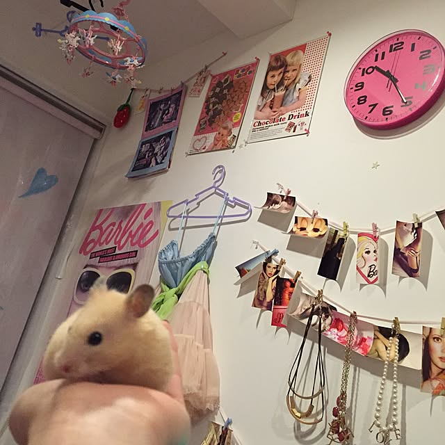 chakiさんの実例写真