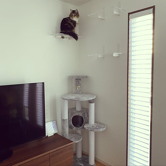Komekoさんの実例写真