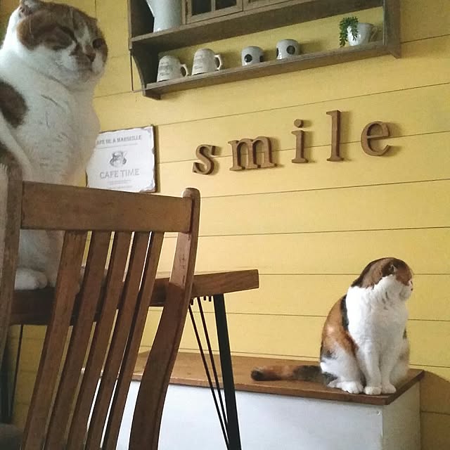 mikiさんの実例写真
