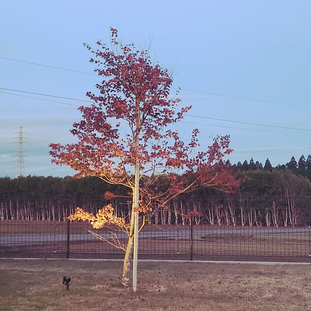 tiaraさんの実例写真
