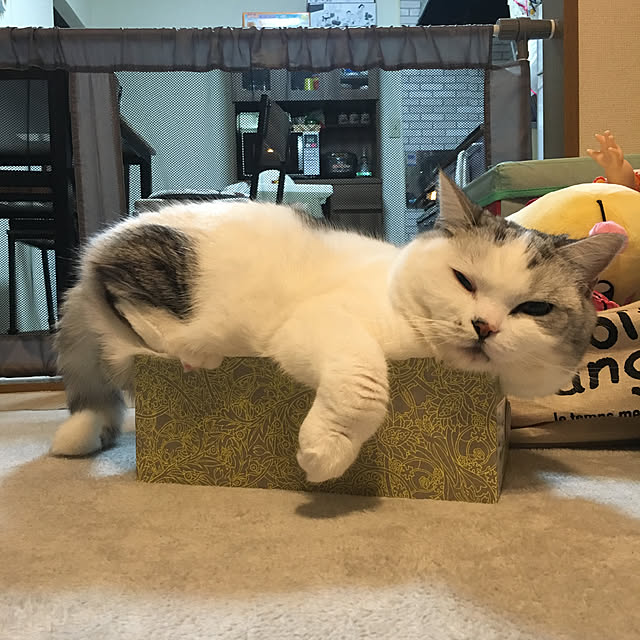 erichanさんの実例写真
