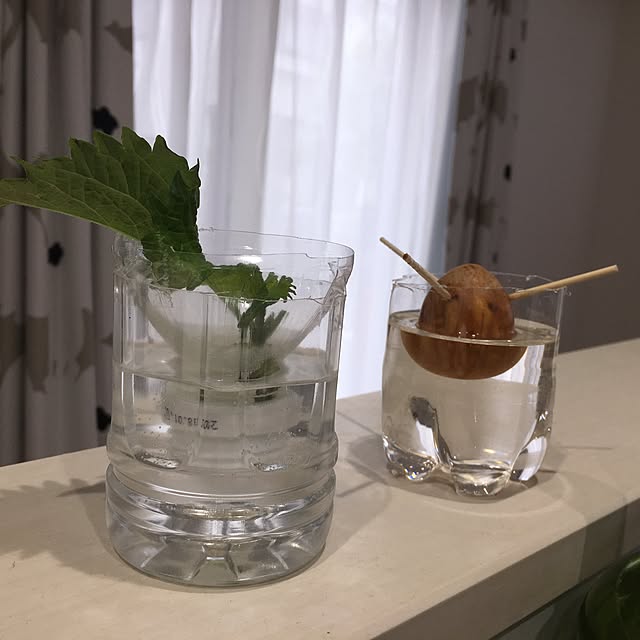sakanaさんの実例写真