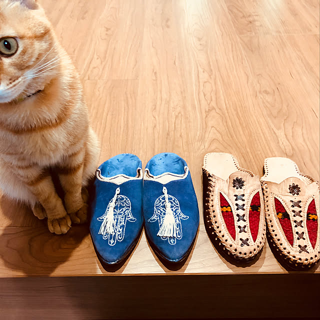 jakoさんの実例写真
