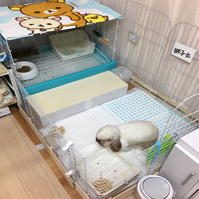 FUさんの実例写真
