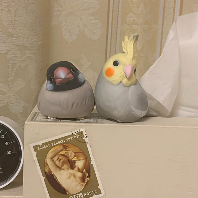 umeshiba_376さんの実例写真
