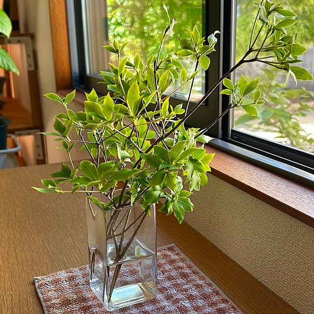 cocoさんの部屋