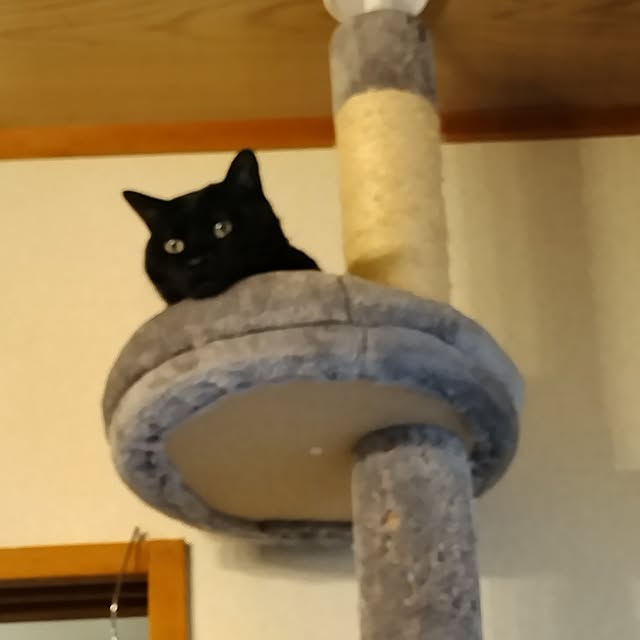 Tさんの部屋