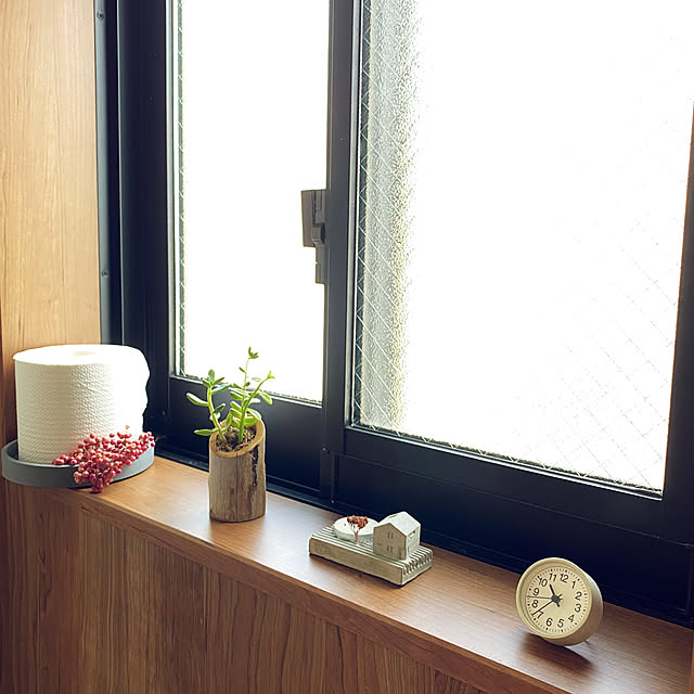バス/トイレ/一人暮らし/IKEA/無印良品/多肉植物のインテリア実例 - 2023-09-03 10:45:30