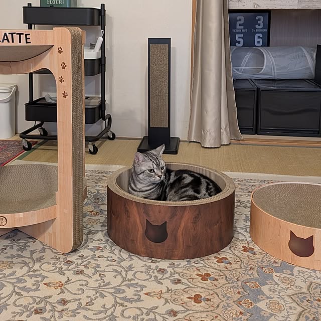 lovepeaceさんの部屋