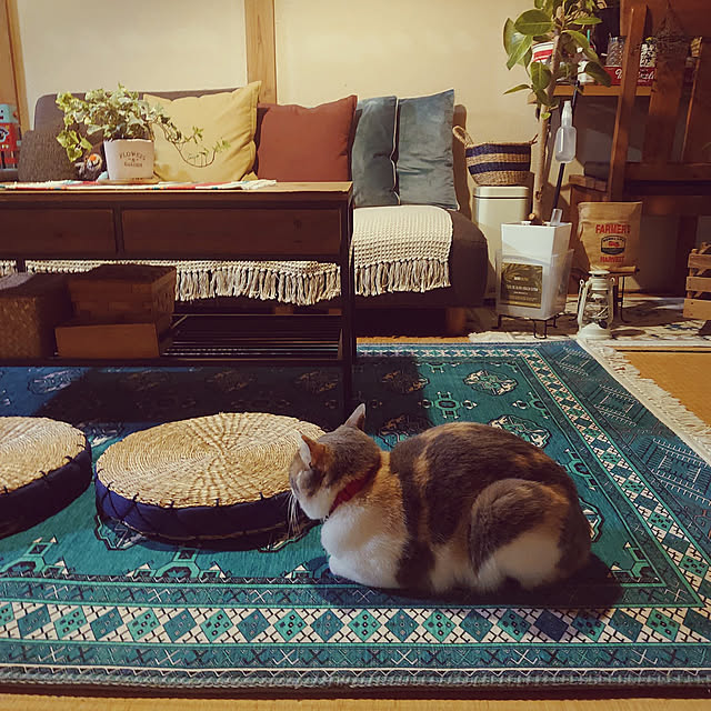 fukuさんの実例写真