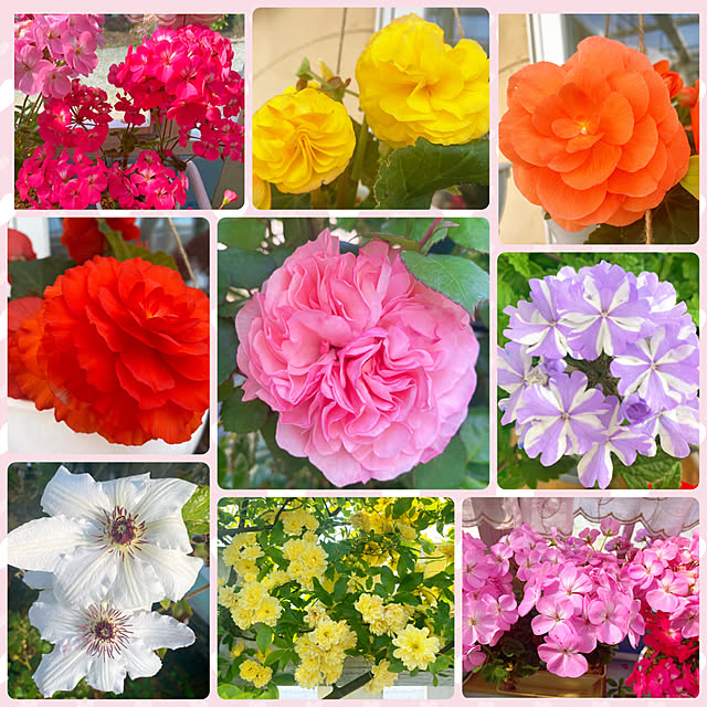 HappyRoseさんの実例写真