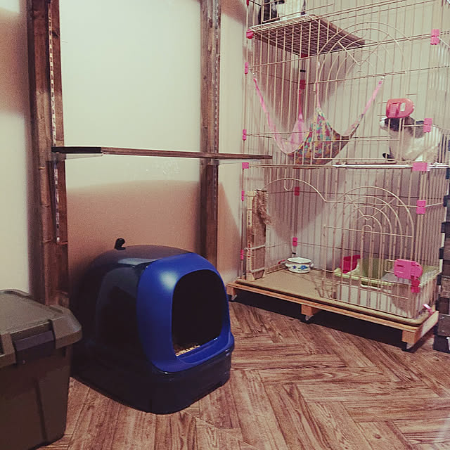 LaLaさんの実例写真