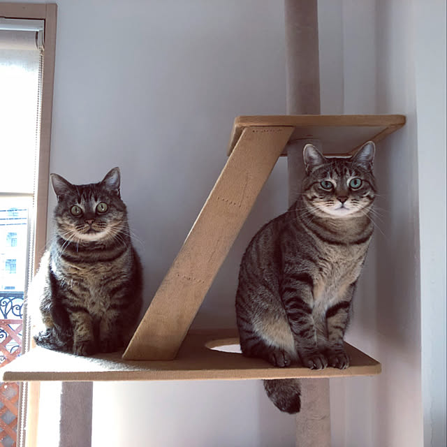 ringoandyuzuさんの実例写真