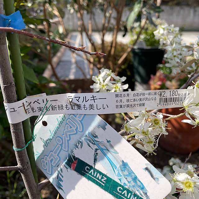 ronronさんの部屋