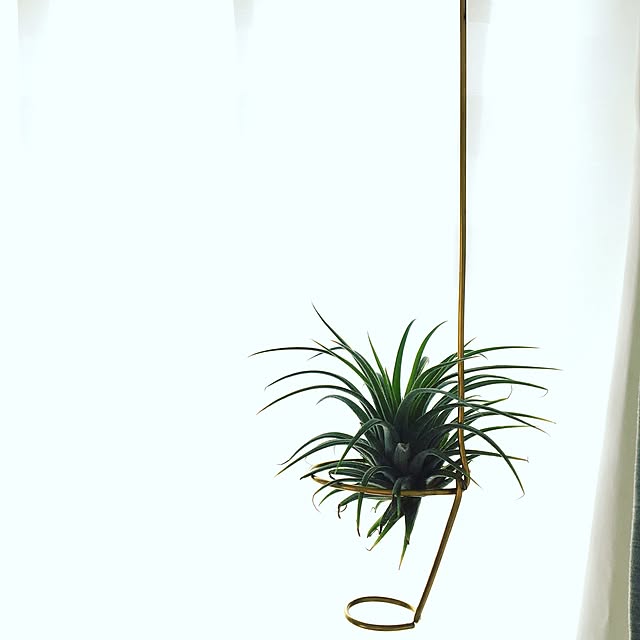 moriyさんの実例写真