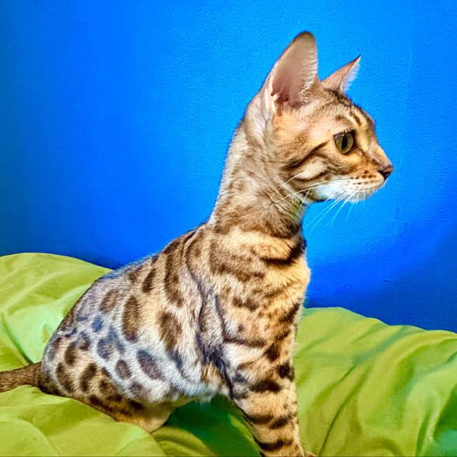 tututu0204さんの部屋