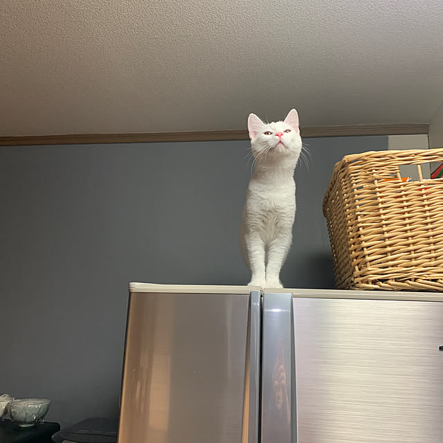 keiさんの実例写真