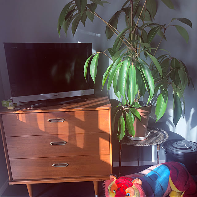 iskwxxctmさんの実例写真