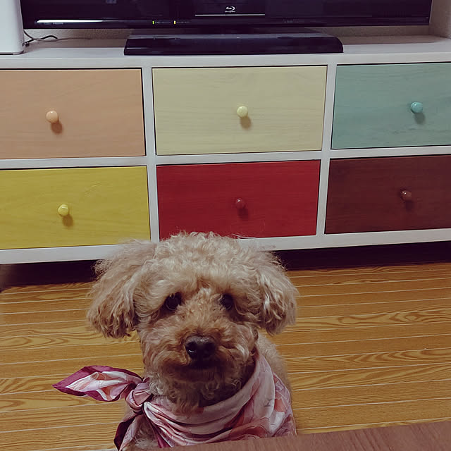 HANABIさんの実例写真