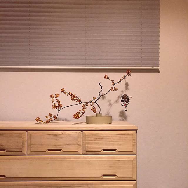 chanさんの実例写真
