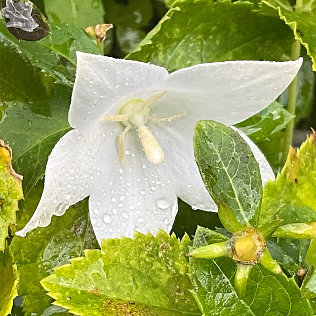 Vakiさんの実例写真