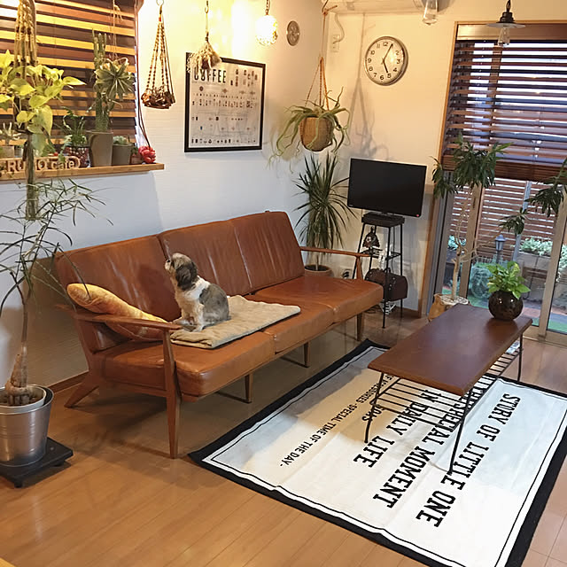 ANNAさんの実例写真
