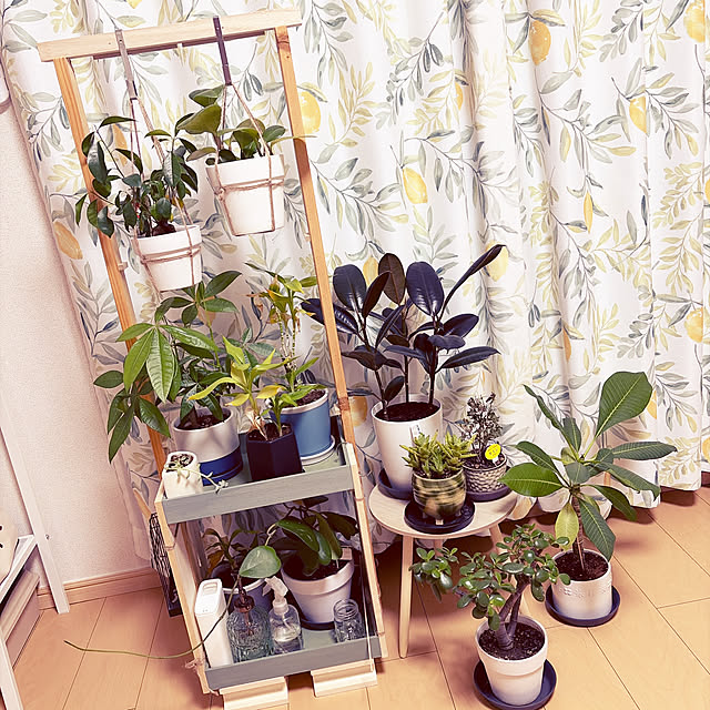 Nowaさんの実例写真