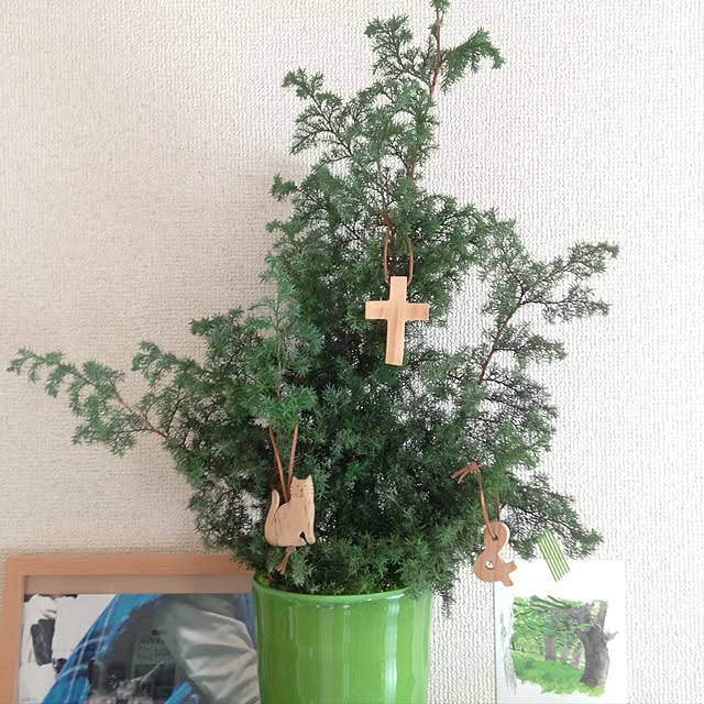 coroさんの実例写真