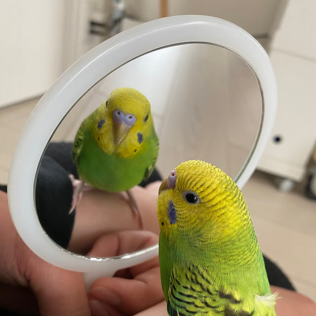 ohanaさんの部屋