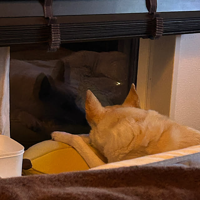 tanboさんの部屋