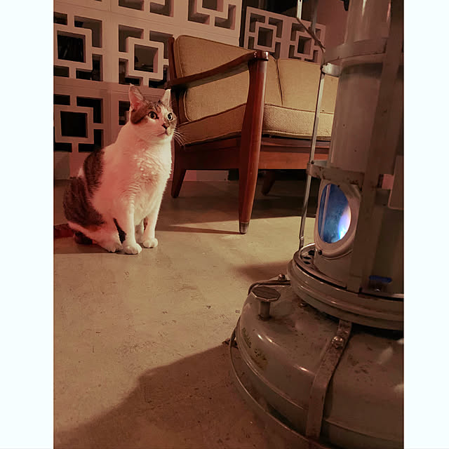 Lisaさんの実例写真