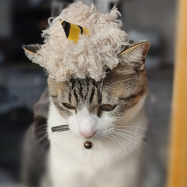 teruminさんの部屋
