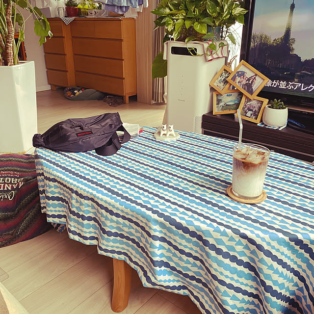 観葉植物/無印良品/IKEA/一人暮らし/多肉植物...などのインテリア実例 - 2023-04-24 08:27:27