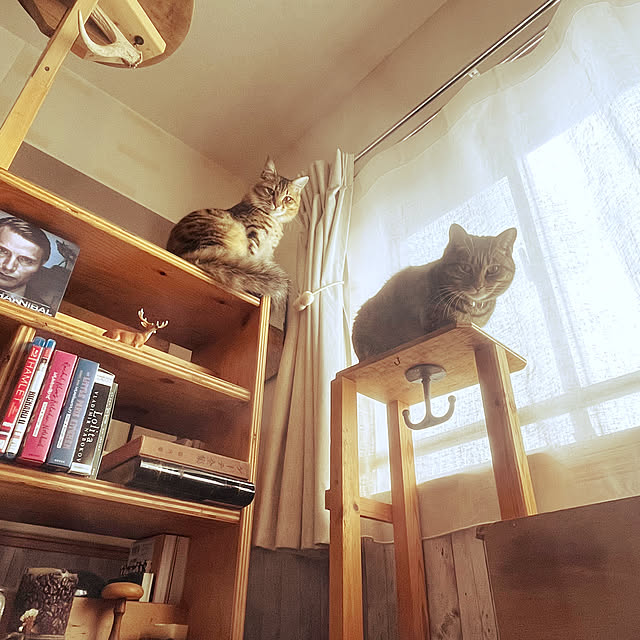 Mさんの実例写真