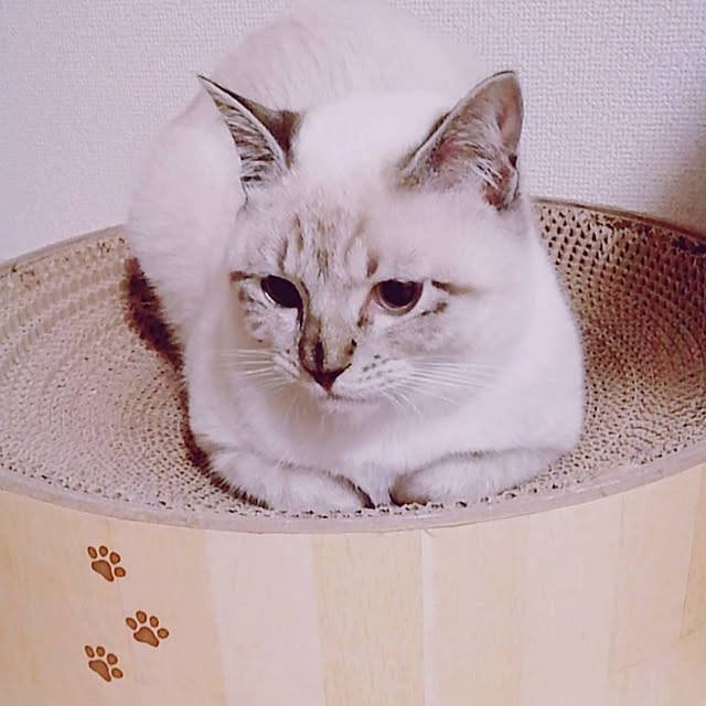mar-kさんの実例写真