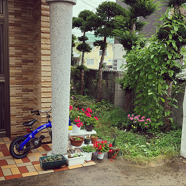 mottimoさんの実例写真