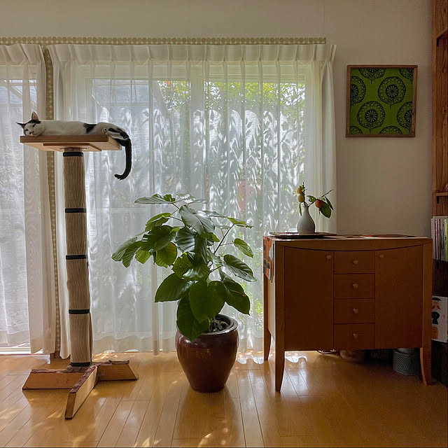 nobikoさんの部屋