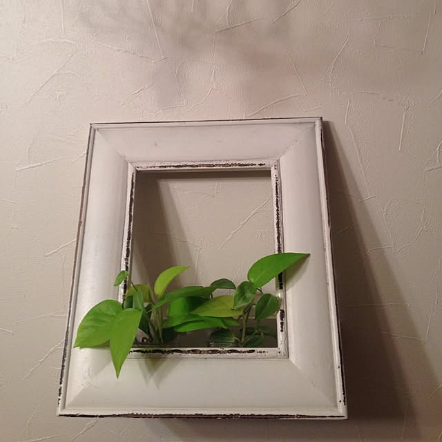 tintaさんの実例写真