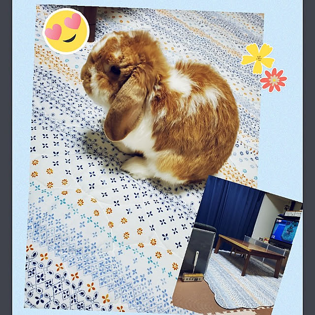 m_geneさんの実例写真