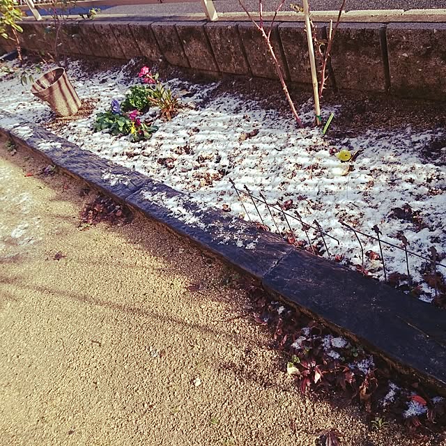 yoshisanさんの実例写真