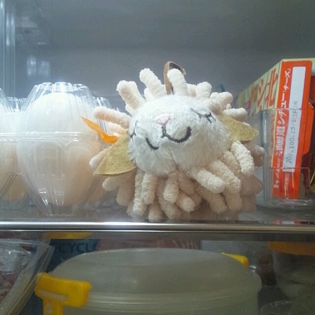 dolphin24さんの実例写真