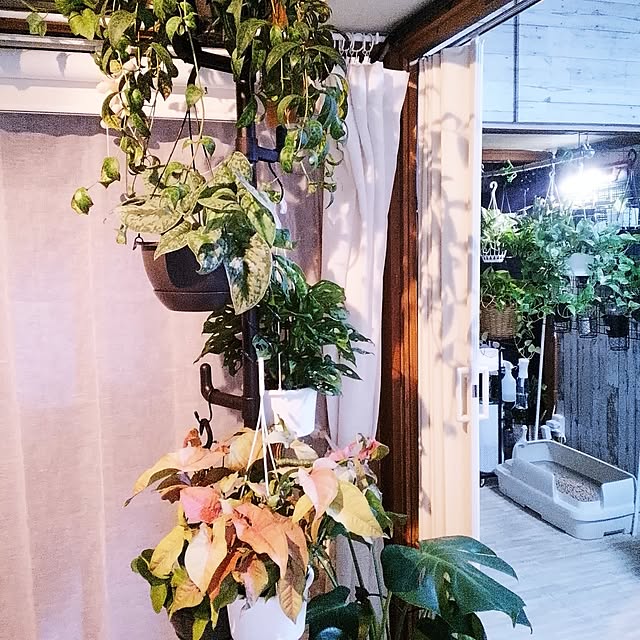 runaさんの実例写真