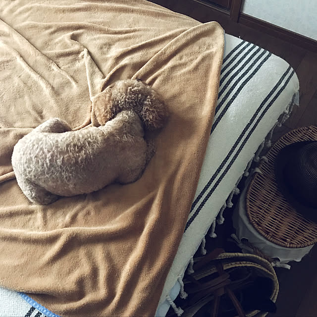 Lilicoさんの実例写真