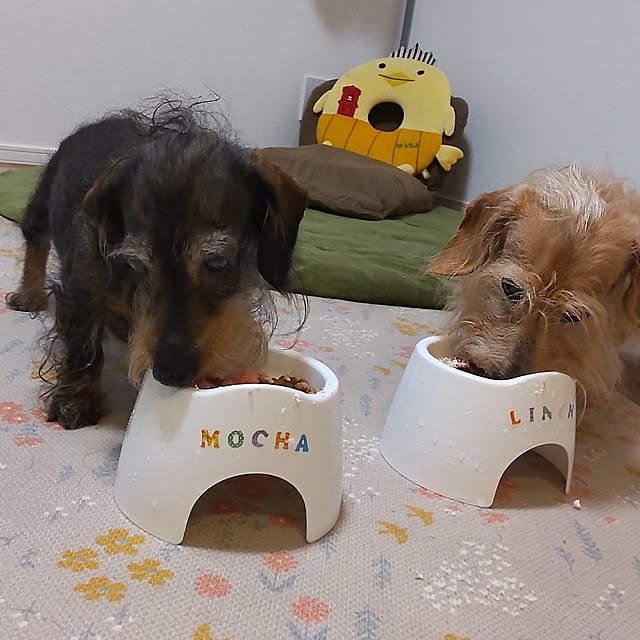 chocococoaさんの部屋