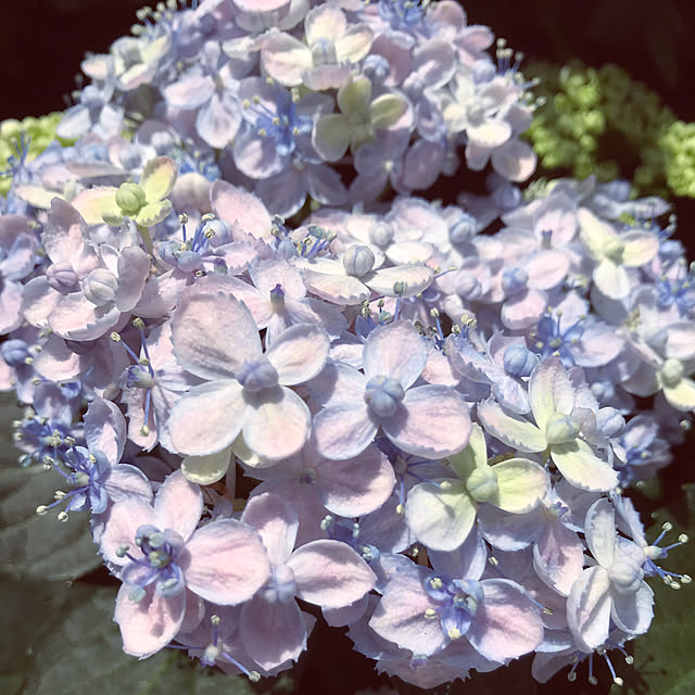 memoryさんの実例写真