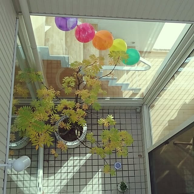 ms.さんの実例写真