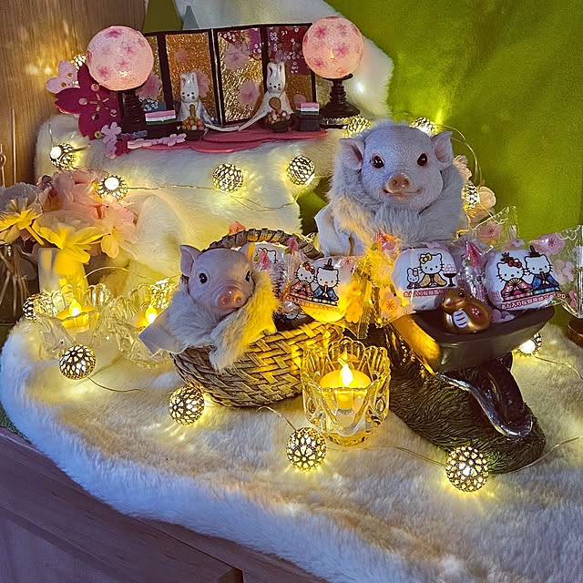 mocomocoさんの部屋