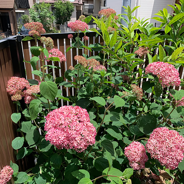 romiromiさんの部屋