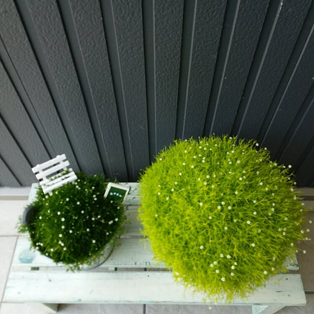 decoramさんの実例写真